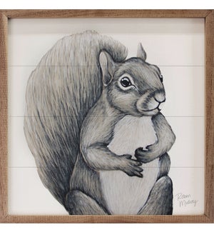 Squirrel By Robin Sue Studio